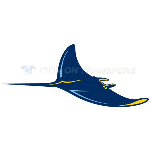 Tampa Bay Rays Iron-on Stickers (Heat Transfers)NO.1939